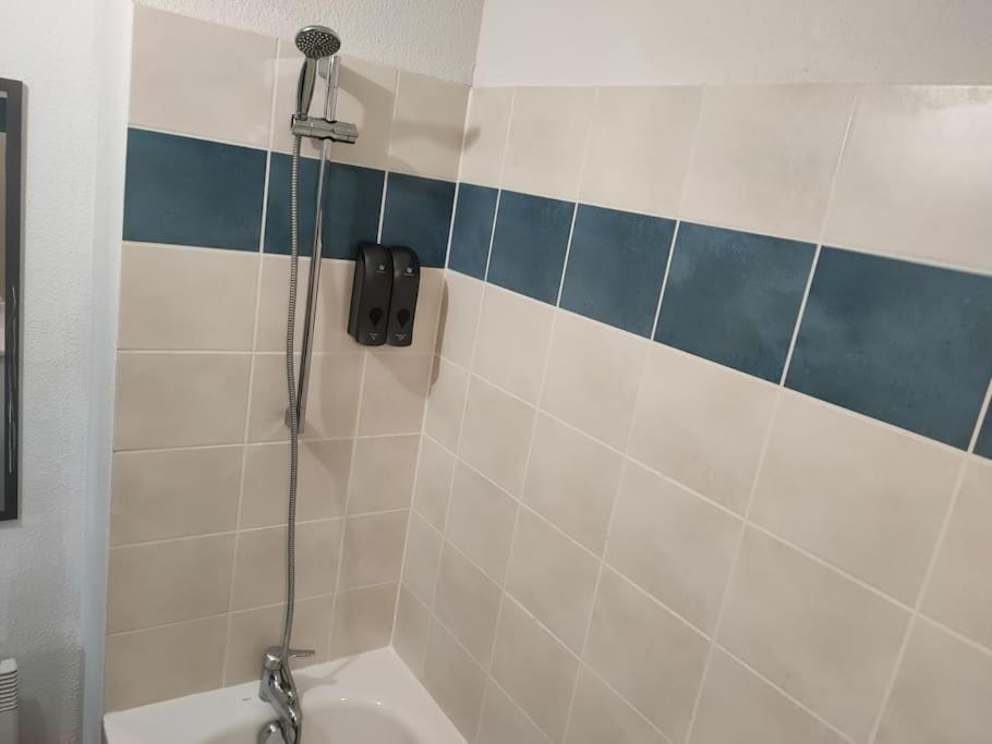 Spacieux Et Joli Appartement De 2 A 4 Personnes • Parking • Wifi Fenouillet  Εξωτερικό φωτογραφία